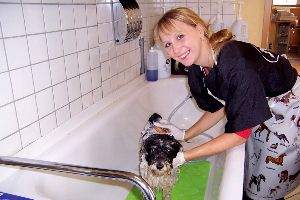 FREI SCHNAUZE - Claudia Scholz