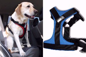 Greendog Kfz-Sicherheitsgeschirre bei FREI SCHNAUZE