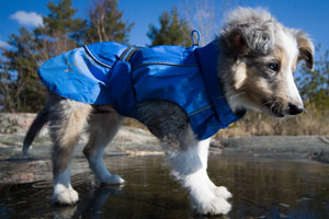 Hurtta Hundebekleidung
